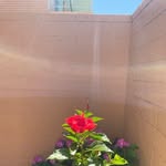 Patsy OBrien - @patsy.obrien.9849 - Instagram