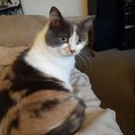 Patsy Obrien - @patsyobrien22 - Instagram