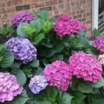 Patsy O'brien - @patsy.obrien - Instagram