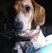 Patsy Odom - Facebook