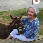 Patsy O'donnell - @patsyann1943 - Instagram
