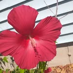 Patty Ogden - @patriciak.ogden - Instagram