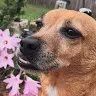 Patty Ohara - @pattyohara - TikTok