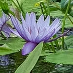 Patsy Olson - @patsy.olson.1 - Instagram