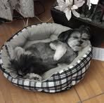 Patsy O'Neal Jones - Facebook