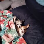 Patsy Oneill - @pats117 - Instagram