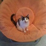 Patsy O'Neill - @patbolo1 - Instagram