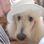 @patsyoneill1956 - Instagram