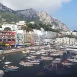 Patsy Orr - @patsyorr8 - Instagram