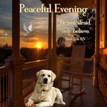 Patsy Padgett - @mtnwoman04 - Instagram