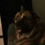 Patsy Page - @blustache - Instagram