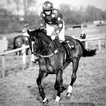 Patsy Page - @patsygoespointing - Instagram