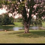 Patsy Hillman Park - @patsyhillmanpark - Instagram