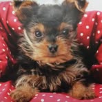 Patsy Park - Facebook