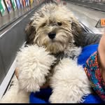 Patsy - @patsy_in_the_park - Instagram