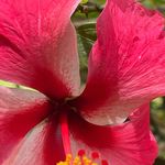 Patsy Patterson - @patterson.patsy - Instagram