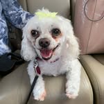 Patsy Patterson - @pattersonpatsy - Instagram