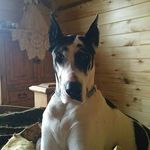 Patsy Patterson Hood - @olredheadednana - Instagram