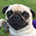 Patsy Paul-Martin - @patsypaulmartin - Instagram