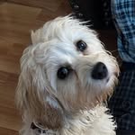 Patsy Paul Martin - @patsy_caissie_martin - Instagram
