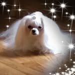 Patsy Pauley Whitlock - @patsy.p.whitlock - Instagram