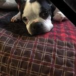 Patsy Pennington - @penningtonpatsy - Instagram