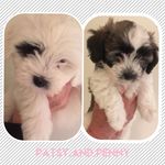 patsy.and.penny - @patsy.and.penny - Instagram