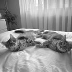Penny & Patsy - @pennyandpatsy - Instagram
