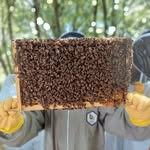 Patsy Pepper - @pepperonipats - Instagram