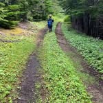 Patann Pey - @patsy.peyton.nlsalesrep - Instagram
