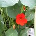 Patty M Pfeiffer - Facebook