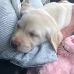 Patsy Pickle - @patsypickle1 - Instagram