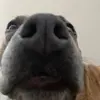 pinkston_ - @pinkston_ - TikTok