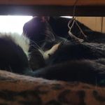 Patsy Pitts - @patsy_psr - Instagram