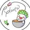ぱなちえ植物園のぐでさん - @p_plants - TikTok