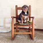 Patsy Plant - Facebook