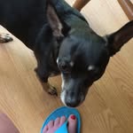 Patty Plummer - @pplummer1825 - Instagram