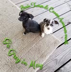 Patsy Poe - Facebook