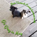 Patsy Poe - @poepatsy - Instagram