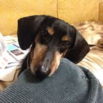 Patsy Powers - @patsyrose35 - Instagram