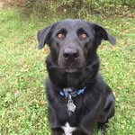 Patsy Powers - @busterelliot2013 - Instagram