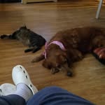 Patsy Prater - @patsykelley71 - Instagram