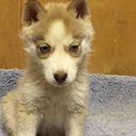 Patsy Price - @jacob12patsy - Instagram