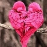 Patsy - @princess_patsy - Instagram