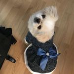 Patsy - @princess_sassy_patsy - Instagram