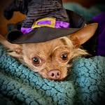 Patsy Pruitt - @princesspatsypruitt - Instagram
