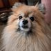 Patty Purvis - Facebook