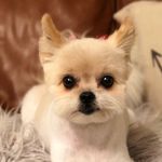 Patsy - @the_queen_patsy - Instagram