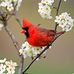 Patty Rader-Eucker - Facebook