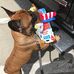 Patty Rauch - Facebook